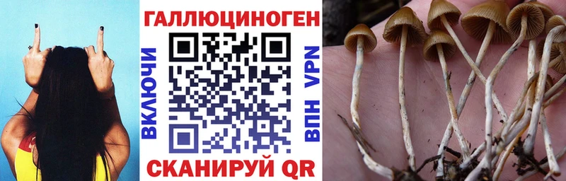 Псилоцибиновые грибы Magic Shrooms Аргун